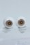 画像1: 14mm/グラスアイ Y-25-05-07-167-YD-ZY (1)