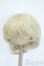 画像1: 8-9inch/ウィッグ Y-25-05-07-266-YD-ZY (1)