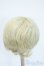 画像2: 8-9inch/ウィッグ Y-25-05-07-266-YD-ZY (2)