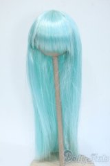 8-9inch/ウィッグ Y-25-05-07-271-YD-ZY