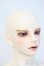 画像2: LUTS/Grand Senior78 Delf SATURN Y-25-05-14-002-YD-ZY (2)
