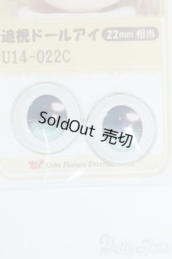 画像1: 22mm/アニメアイ Y-25-05-14-084-YD-ZY