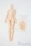 画像1: azone/ピュアニーモフレクションXS女の子ボディ Y-25-05-14-164-YD-ZY (1)