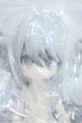 一万回の脱出計画BJD/オオカミ 狼 QUIET WILDERNESS Y-25-05-21-019-YD-ZY