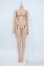 画像1: Gem of Doll/1/4 Windsor Body Ver.2 Y-25-05-28-073-YD-ZY (1)
