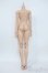 画像2: Gem of Doll/1/4 Windsor Body Ver.2 Y-25-05-28-073-YD-ZY (2)