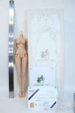 画像3: Gem of Doll/1/4 Windsor Body Ver.2 Y-25-05-28-073-YD-ZY