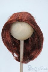 9-10inch/ウィッグ Y-25-05-28-060-YD-ZY