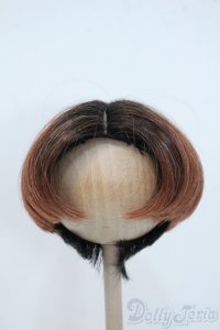 9-10inch/ウィッグ Y-25-05-28-070-YD-ZY