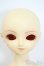 画像1: SDBOY/凌 Y-25-05-28-168-YD-ZY (1)