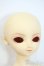 画像2: SDBOY/凌 Y-25-05-28-168-YD-ZY (2)