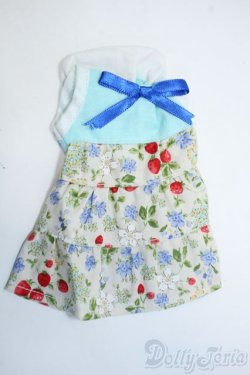 画像1: 幼SD/OF:ワンピース Y-25-05-28-120-YD-ZY