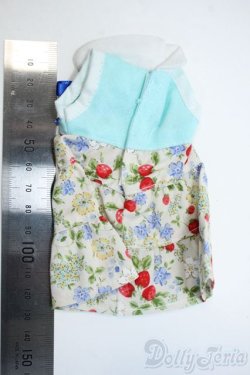 画像2: 幼SD/OF:ワンピース Y-25-05-28-120-YD-ZY