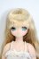 画像1: azone/こもれびの森のどうぶつたち/うさぎさん/みう Y-25-06-04-048-YD-ZY (1)