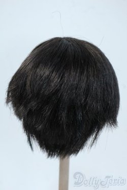 画像2: 9-10inch/ウィッグ Y-25-06-04-062-YD-ZY