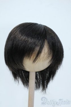 画像1: 9-10inch/ウィッグ Y-25-06-04-063-YD-ZY
