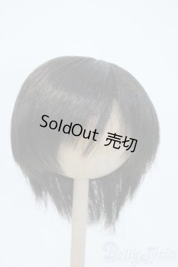 画像1: 9-10inch/ウィッグ Y-25-06-04-063-YD-ZY