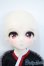 画像6: TinyFox1/4/ニシキゴイの精霊　鯉春 Y-25-06-04-028-YD-ZY