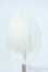 画像2: 7-8inch/ウィッグ Y-25-06-04-153-KD-ZY (2)