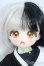画像1: TinyFox/バタフライクノイチ カカフ Y-25-06-11-016-YD-ZY (1)
