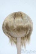6-7inch/ウィッグ Y-25-06-11-070-YD-ZY