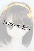 DD/涼宮ハルヒ Y-25-10-01-200-YD-ZY