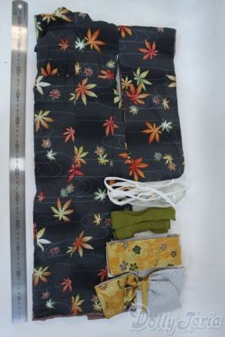 画像2: SD16GIRL/着物 Y-25-06-11-137-YD-ZY