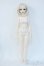 画像4: MYOUDOLL/Chelses Y-25-06-11-121-YD-ZY