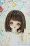 画像1: 幼SD女の子/まい 幼SD生誕15周年記念Ver. Y-25-06-18-122-YD-ZY (1)