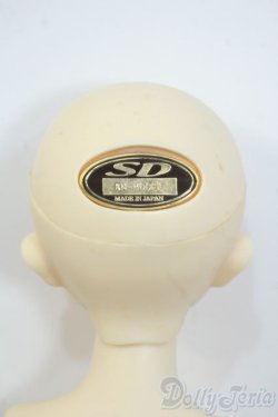 画像7: SDMBOY/F-31：コーディネートモデル Y-25-06-18-123-YD-ZY