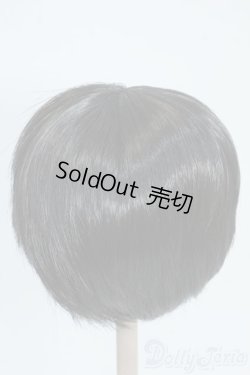 画像2: 8-9inch/ウィッグ Y-25-06-18-144-YD-ZY