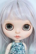 ネオブライス/カスタムブライス+衣装セット Y-25-06-25-096-YD-ZY