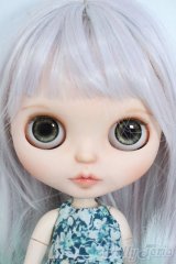 ネオブライス/カスタムブライス+衣装セット Y-25-06-25-096-YD-ZY