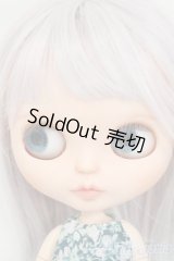 ネオブライス/カスタムブライス+衣装セット Y-26-02-04-264-YD-ZY