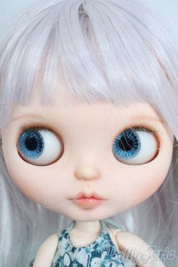画像2: ネオブライス/カスタムブライス+衣装セット Y-25-06-25-096-YD-ZY