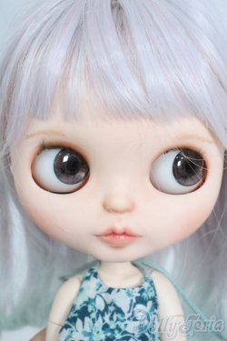 画像4: ネオブライス/カスタムブライス+衣装セット Y-25-06-25-096-YD-ZY