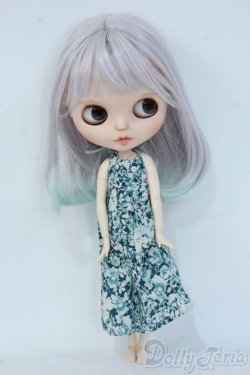 画像5: ネオブライス/カスタムブライス+衣装セット Y-25-06-25-096-YD-ZY