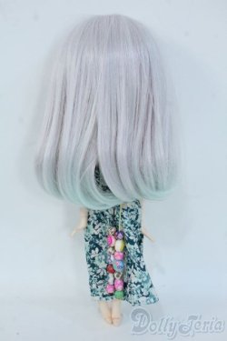 画像6: ネオブライス/カスタムブライス+衣装セット Y-25-06-25-096-YD-ZY