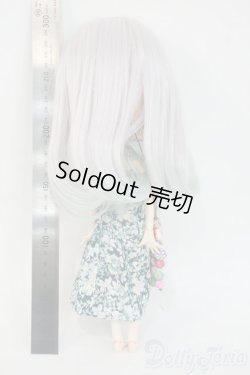 画像6: ネオブライス/カスタムブライス+衣装セット Y-26-02-04-264-YD-ZY