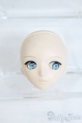 PARABOX/KAY彩色済みヘッドB Y-25-06-25-174-YD-ZY