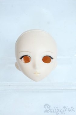 画像1: PARABOX/KAY彩色済みヘッドB Y-25-06-25-174-YD-ZY