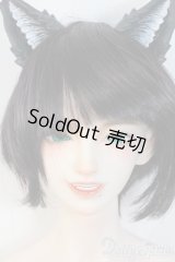 Loong Soul 七星・貪狼 Y-25-08-13-291-YD-ZY