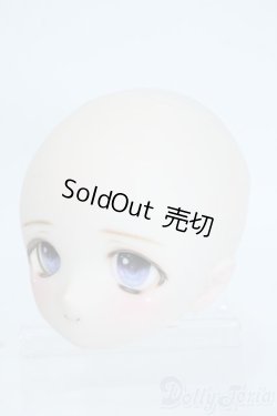 画像3: DD/DDH-27 ヘッド Y-25-06-25-227-TN-ZY