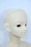 画像2: SD13BOY/フルチョイス:F-29 Y-25-07-02-005-YD-ZY (2)