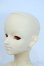 画像3: SD13BOY/フルチョイス:F-29 Y-25-07-02-005-YD-ZY