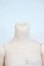 画像3: ImomoDoll/1/4 ボディ Y-25-07-02-006-YD-ZY (3)
