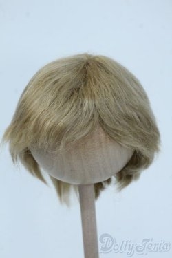 画像1: 8-9inch/ウィッグ Y-25-07-02-021-YD-ZY