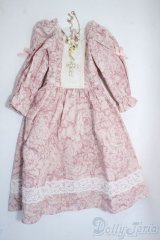 SD/OF:ワンピース Y-25-07-02-056-YD-ZY