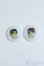 画像1: 16ｍｍ/アニメアイ Y-25-07-02-101-YD-ZY (1)