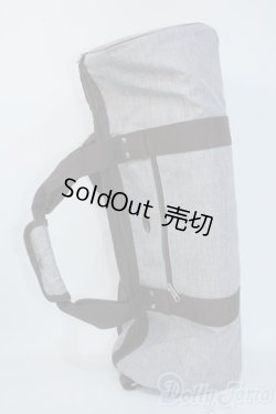 画像1: MSD(SDM)/ボークス製キャリングケース・ミニ Y-25-07-02-211-KD-ZY
